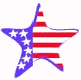 stars5.gif (1641 bytes)