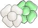 2flwrs-gw.jpg (2264 bytes)