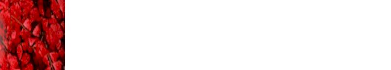 back-mred.jpg (6864 bytes)