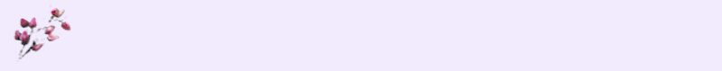 back-pflwr.jpg (2566 bytes)