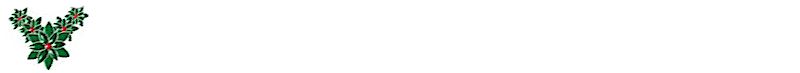 back-xmshol1.jpg (3789 bytes)