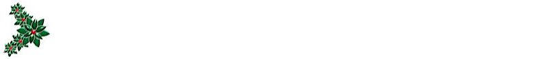 back-xmsholly.jpg (3987 bytes)