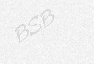 bsb25.jpg (4453 bytes)