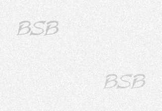 bsb3_jp50.jpg (4644 bytes)