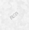 bsb4.jpg (1420 bytes)