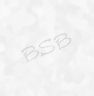 bsb5.jpg (1304 bytes)