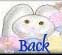 bunny5back.jpg (1746 bytes)