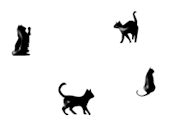 cat-bck2.jpg (2744 bytes)