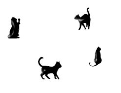cat-bck3D.jpg (4126 bytes)