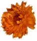 chrysmum.jpg (2728 bytes)