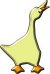 duck77small.JPG (1602 bytes)
