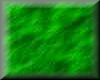 greenr-sgr.jpg (2038 bytes)