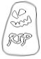 hlwnshd-rip.jpg (2095 bytes)