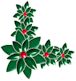holly33.jpg (2743 bytes)
