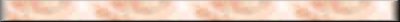 orgtidy-lgbar.jpg (2368 bytes)