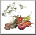 veg-lgbtn2.jpg (3750 bytes)