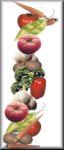 veg-lngbtn.jpg (3574 bytes)