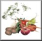 veg-smbtn2.jpg (2559 bytes)
