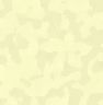 wlpr-smgylw.jpg (1346 bytes)