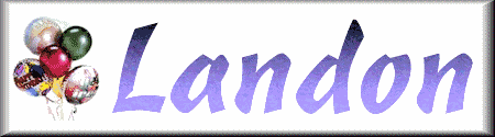 landon-brn4.gif (10741 bytes)