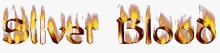 slvr-bld7.gif (9135 bytes)