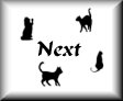 4cat-nxt.jpg (2620 bytes)