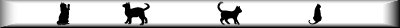 4cats-lg3bAR.jpg (2906 bytes)