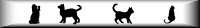 4cats-sm3bAR.jpg (2057 bytes)