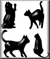 4 cats.jpg (8452 bytes)