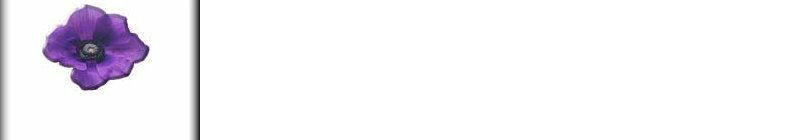 back-prpleflowr.jpg (5245 bytes)