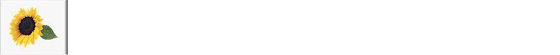 back-snflwr.jpg (3455 bytes)