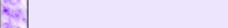 back-tiedye3.jpg (3307 bytes)