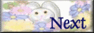bnyflwr-nxt.gif (3947 bytes)