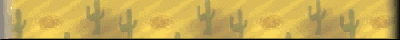 cact-lgbar.gif (6318 bytes)
