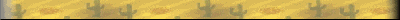cact-smbar.gif (3200 bytes)