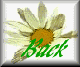 dais-bck.gif (2653 bytes)
