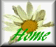 dais-hme.gif (2627 bytes)
