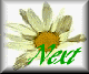 dais-nxt.gif (2678 bytes)