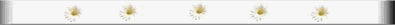 dsy-smbr.gif (1818 bytes)