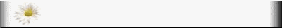 dsy2-bar.gif (1686 bytes)