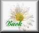 dsy2-bck.gif (2220 bytes)