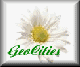 dsy2-geo.gif (2242 bytes)
