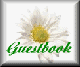 dsy2-gstbk.gif (2300 bytes)