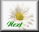 dsy2-nxt.gif (2203 bytes)