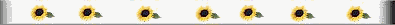 dsy3-smbr.gif (2307 bytes)
