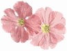 flowers2.gif (2985 bytes)