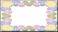 flwbdr-medpln.gif (6772 bytes)