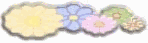 flwr11bar.gif (2543 bytes)