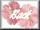 flwr2-bck.gif (2562 bytes)