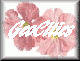 flwr2-geo.gif (2542 bytes)